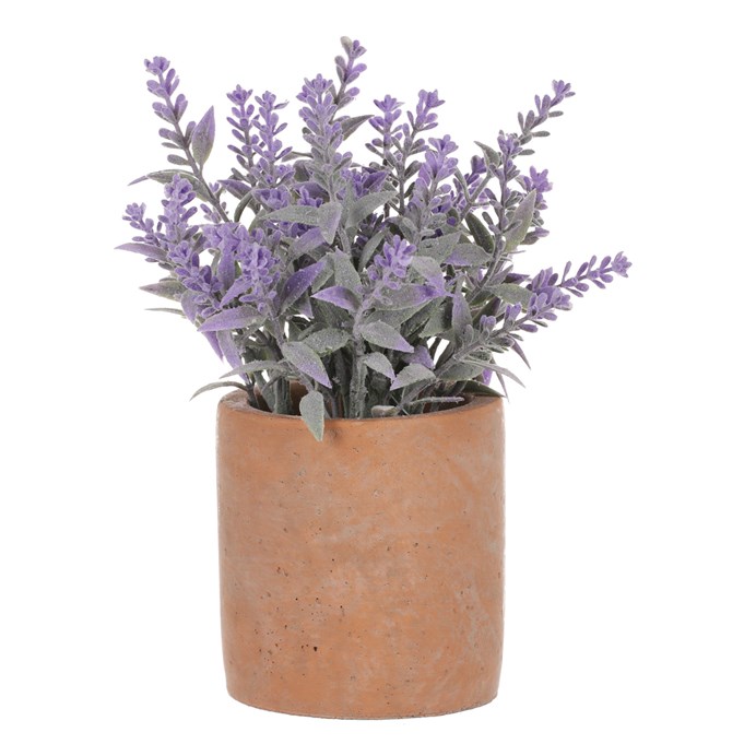 Produktový obrázek 1