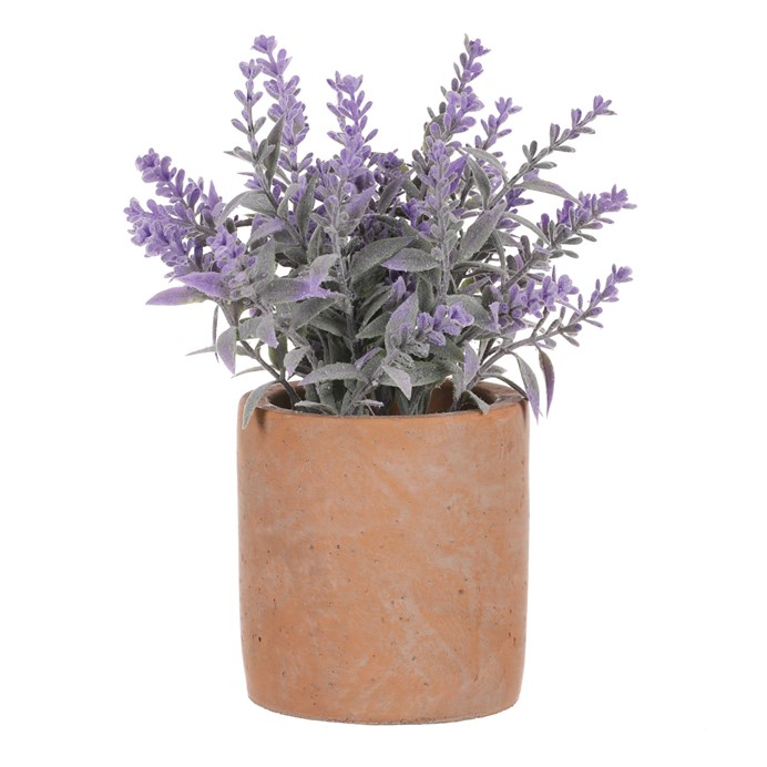 Produktový obrázek 2