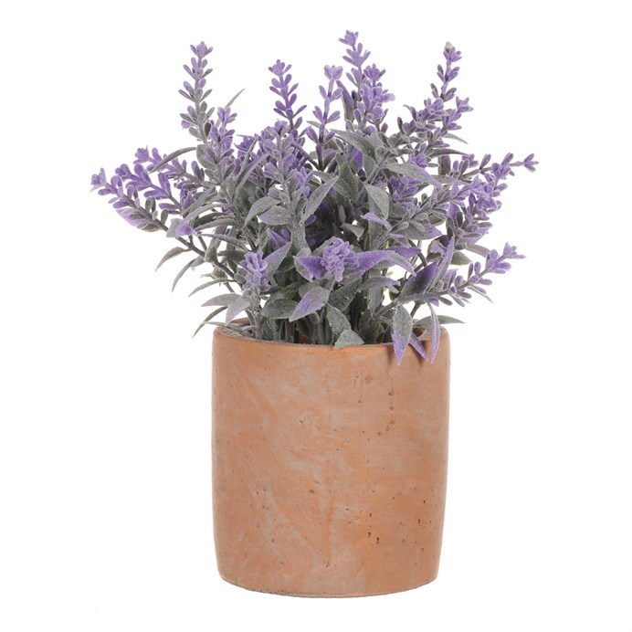 Produktový obrázek 4