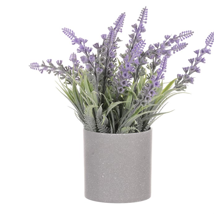 Produktový obrázek 1