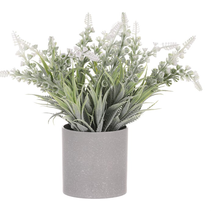 Produktový obrázek 2