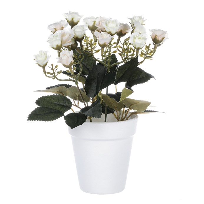 Produktový obrázek 1