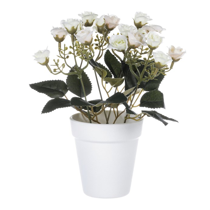 Produktový obrázek 2