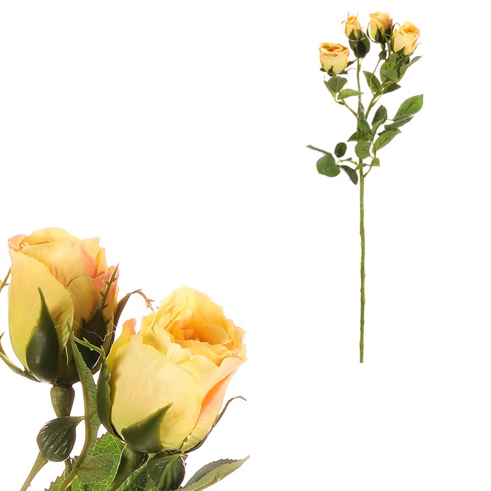 Produktový obrázek 1