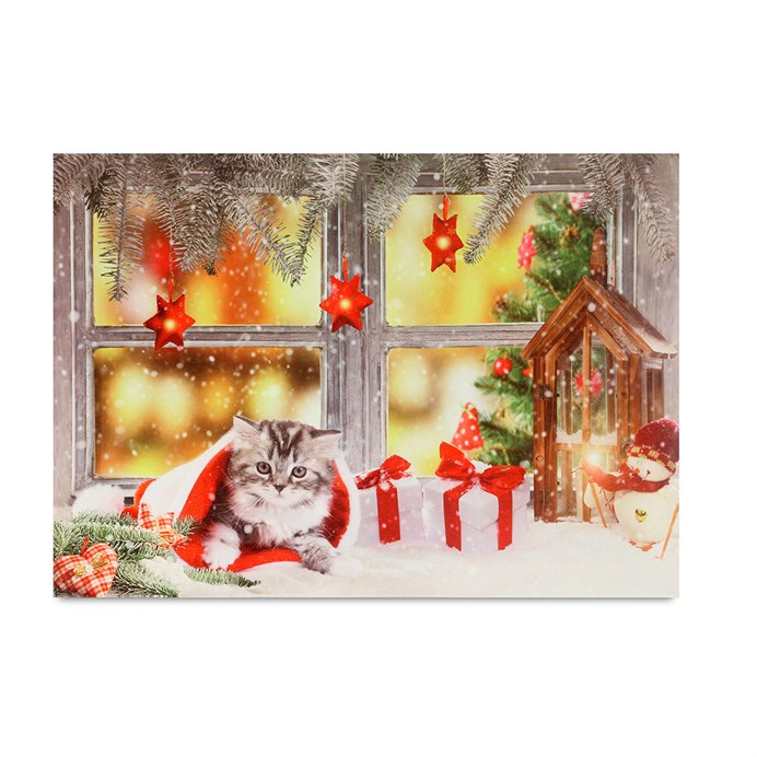 Produktový obrázek 1