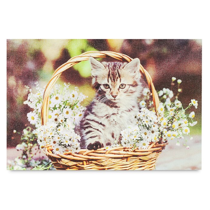 Produktový obrázek 1