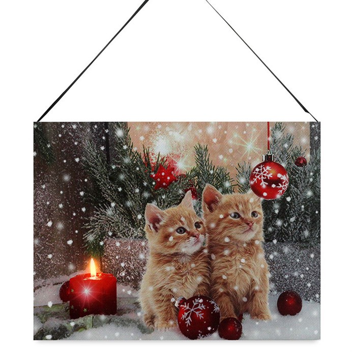 Produktový obrázek 1