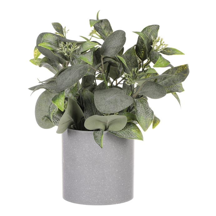 Produktový obrázek 1