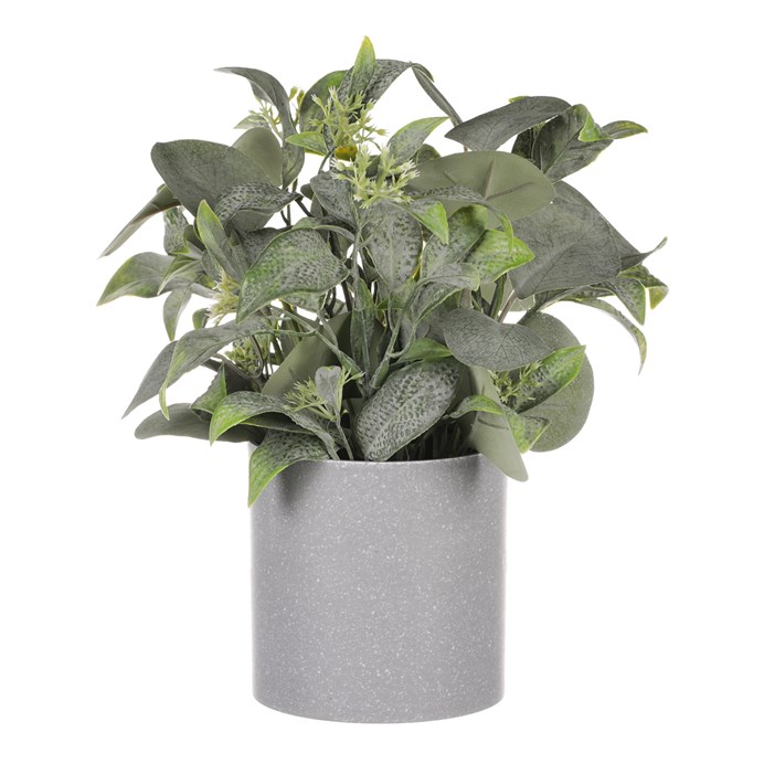 Produktový obrázek 2