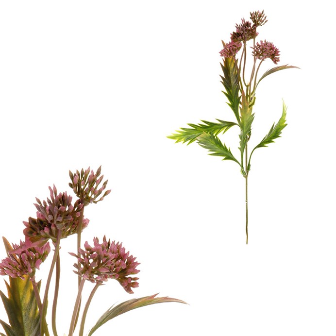 Produktový obrázek 1