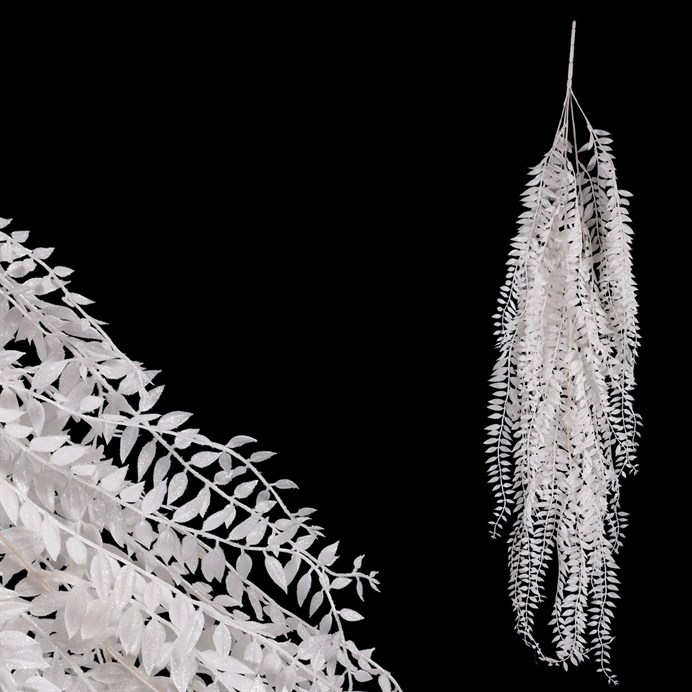 Produktový obrázek 1