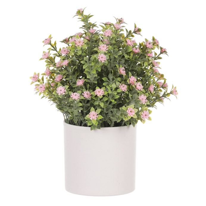 Produktový obrázek 1