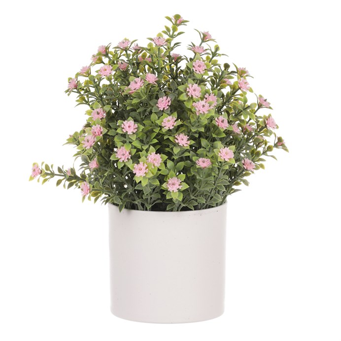 Produktový obrázek 3