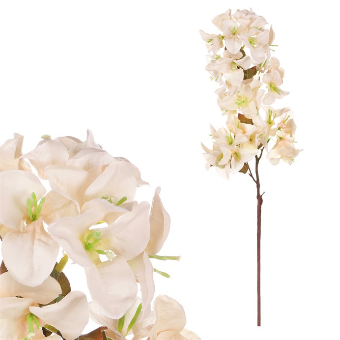 Produktový obrázek 1