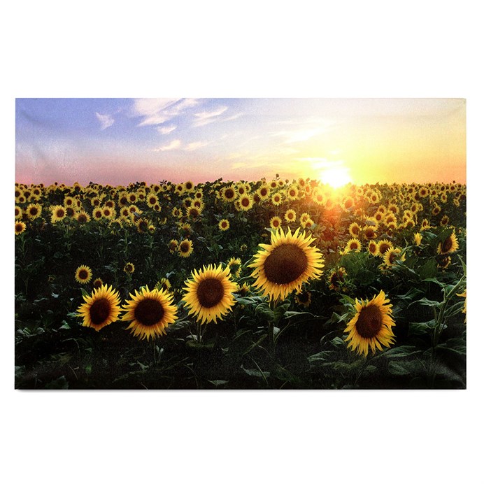 Produktový obrázek 1